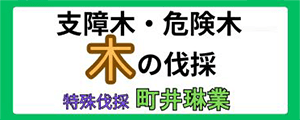 千葉県いすみ市周辺の特殊伐採、森林整備なら町井琳業